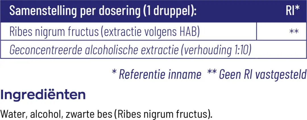 Vitakruid Ribes Nigrum Tinctuur 100ml
