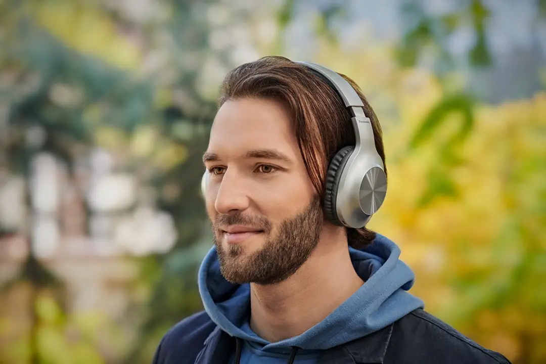 Panasonic RB-HX220BDES Draadloze Headset - Zilver