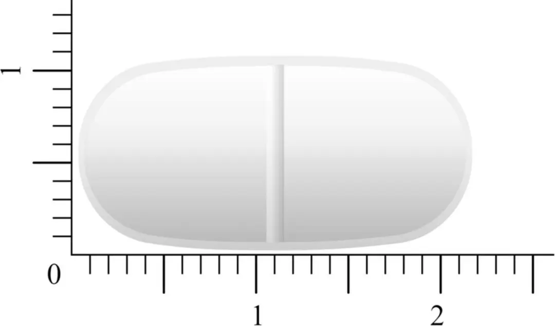 Vitakruid Magnesium 200 Complex 90 Tabletten