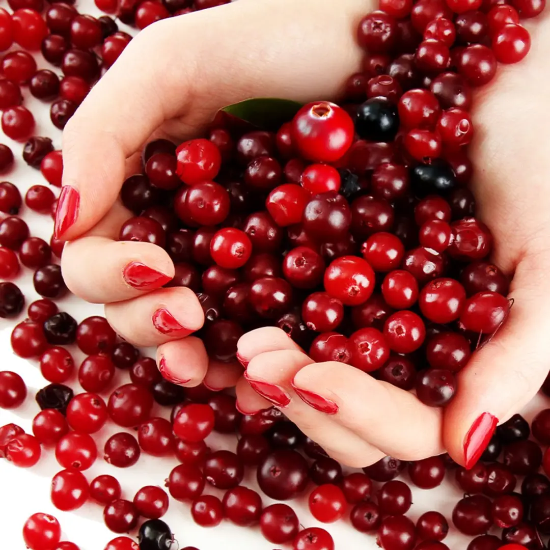 Lucovitaal Cranberry X-tra Forte - 240 Capsules