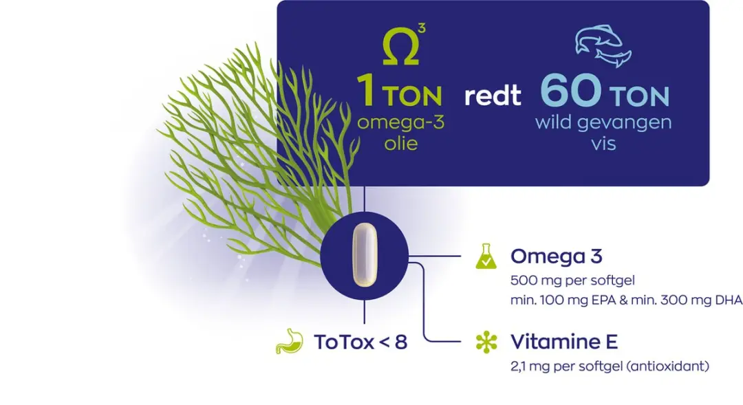 Vitakruid Vegan Omega-3 1000 TG Capsules - 94ml