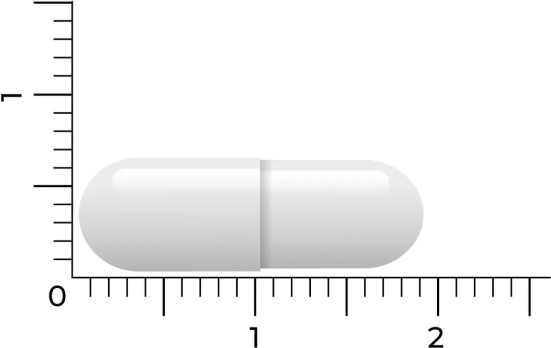 Vitakruid S-Acetyl-L-Glutathion 90 Vegicaps
