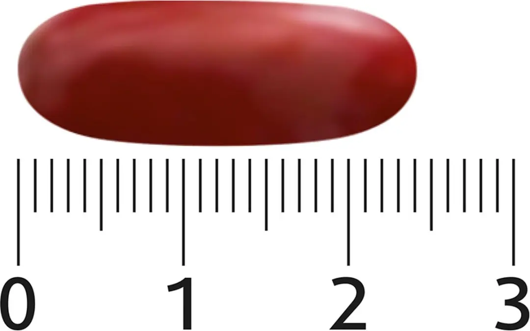 Lucovitaal Leverreiniging 60 Capsules
