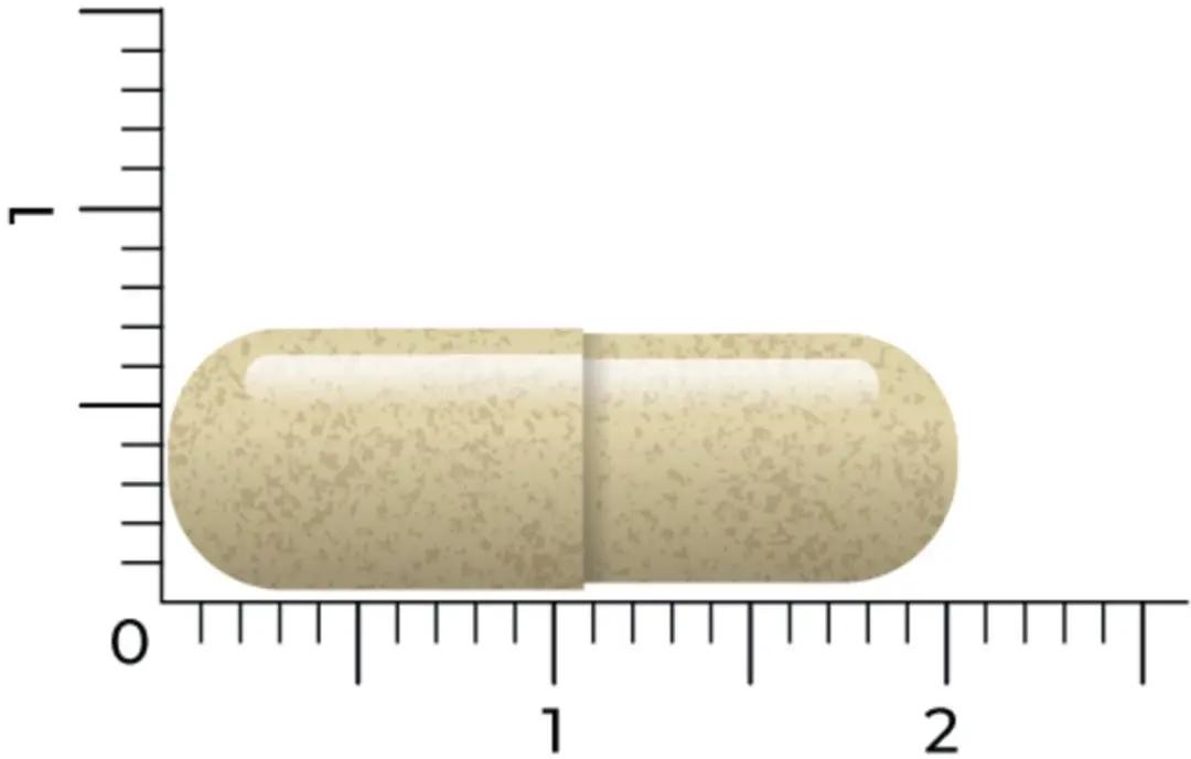 Vitakruid Vitex Agnus Castus 200mg - 120 Vegancapsules - afbeelding 6 van 6