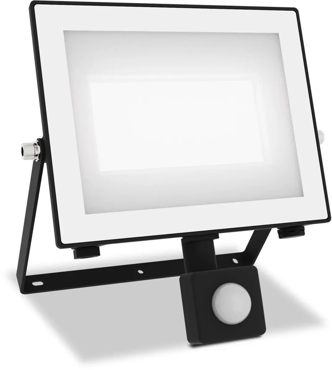 Philips Lois Floodlight 50W - Zwart - 929004642701