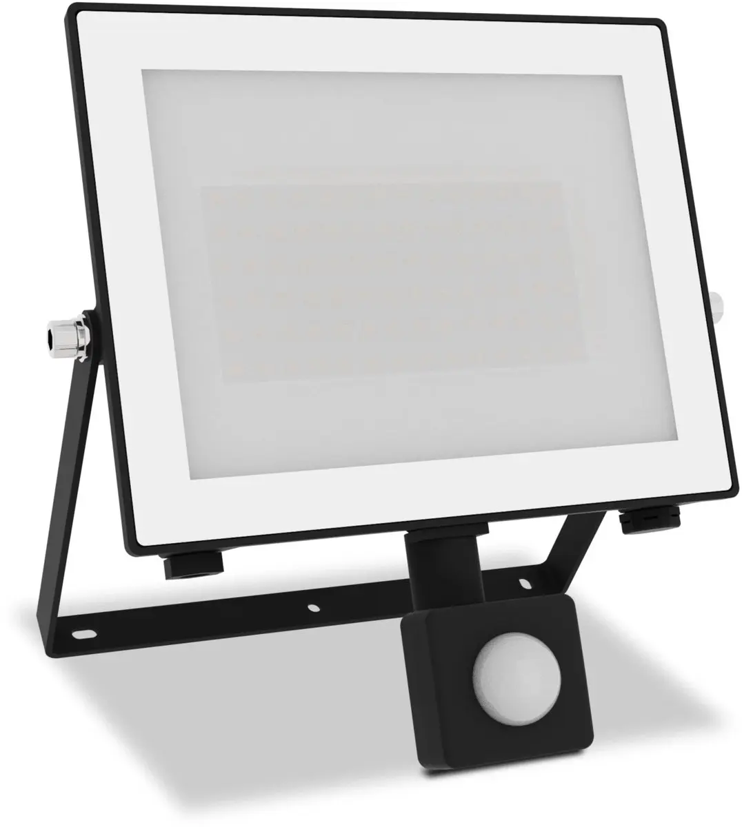 Philips Lois Floodlight 50W