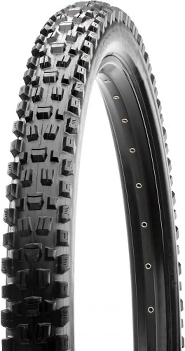 Maxxis Assegai 29x2.50 Buitenband - 120 TPI - Zwart