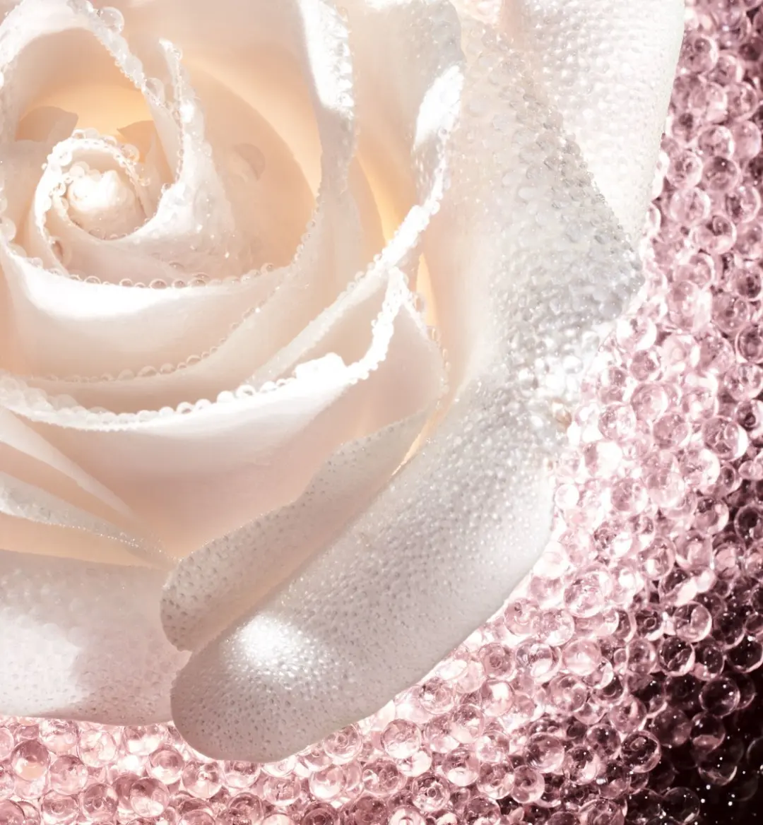 Dior Prestige Le Micro-Caviar de Rose Intense Regeneratiecrème 75ml