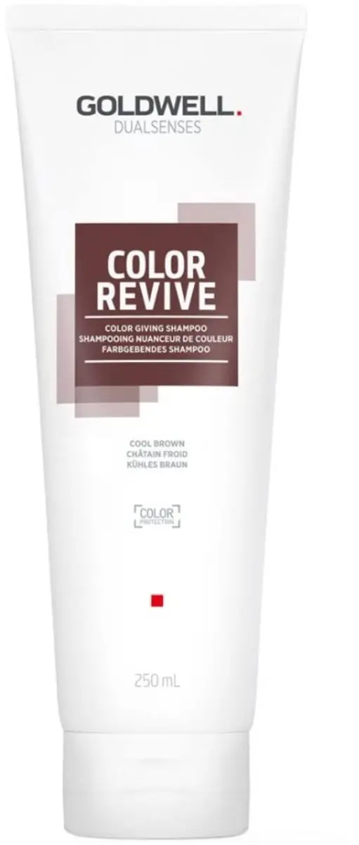 Goldwell Dualsenses Color Revive Shampoo 250ml