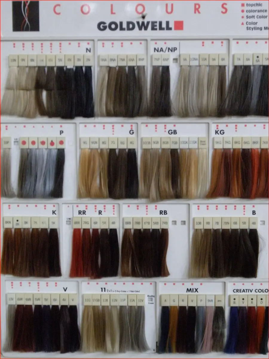 Goldwell Topchic Hair Color Bus 6VR Permanent Full Coverage