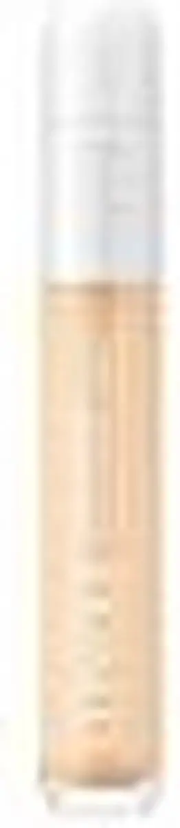Clinique Even Better Concealer WN04