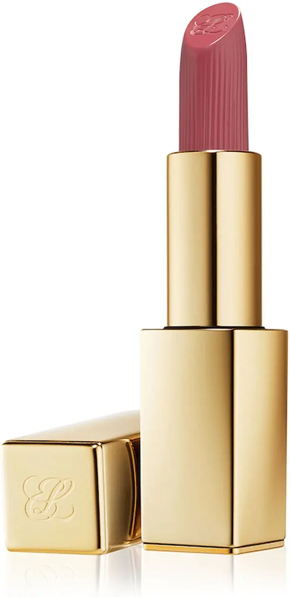 Estée Lauder Pure Colour Matte Lipstick 669 Stolen Heart