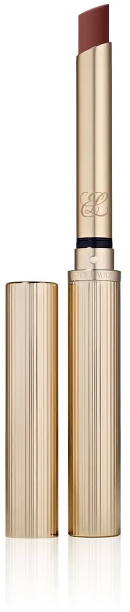 Estée Lauder Pure Color Matte Lipstick 301 Smokescreen - 7g