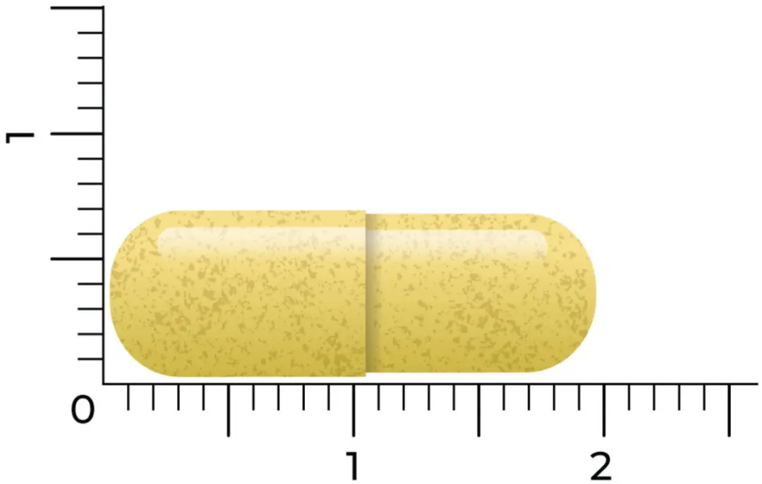 Vitakruid Quercetine 250 - 60 Tabletten