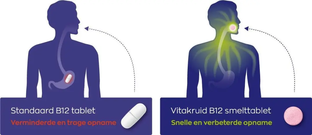 Vitakruid B12 Forte Plus Smelttabletten 60 Stuks