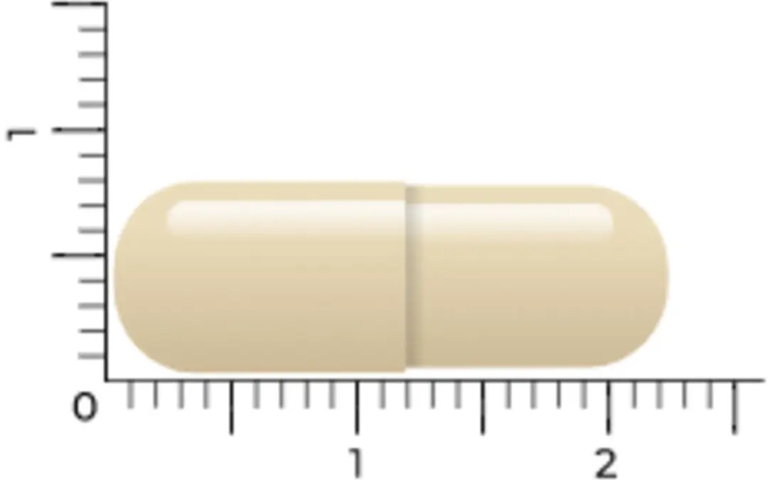 Vitakruid Gebufferde Vitamine C 360g