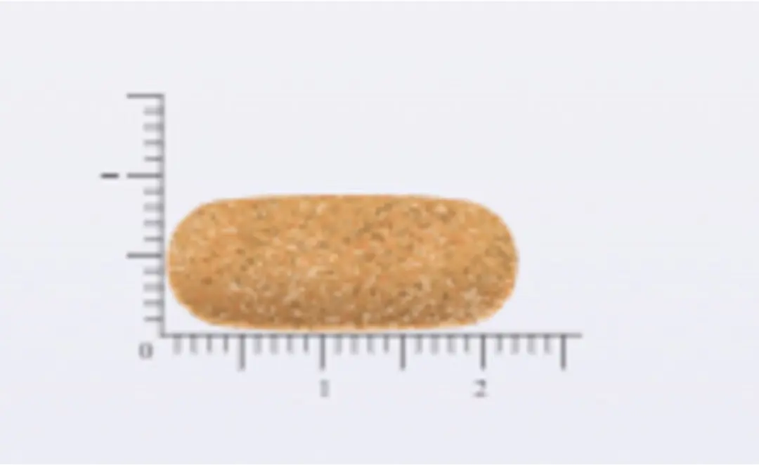 Vitakruid Femme 120 tabletten - 2x60 Stuks