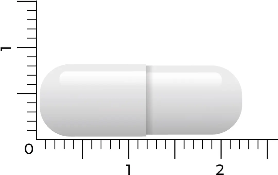 Vitakruid NAC 600mg 90 Capsules