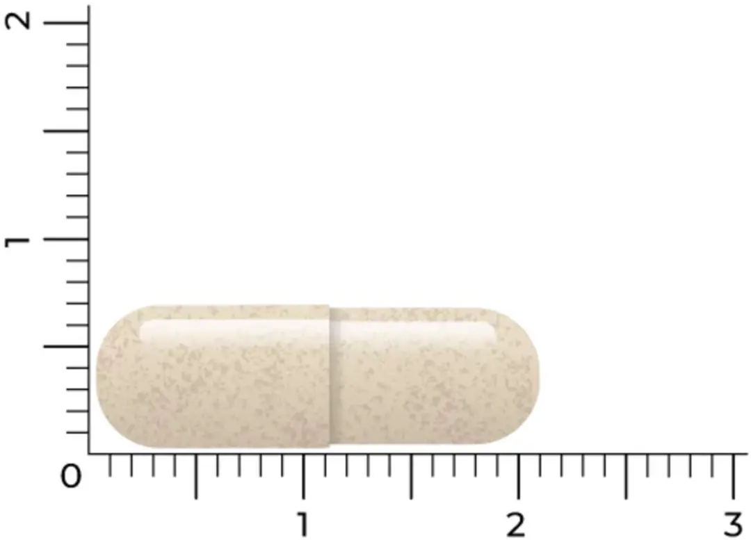 Vitakruid DPP-IV Ultimate 180 Vegancapsules - 2x90