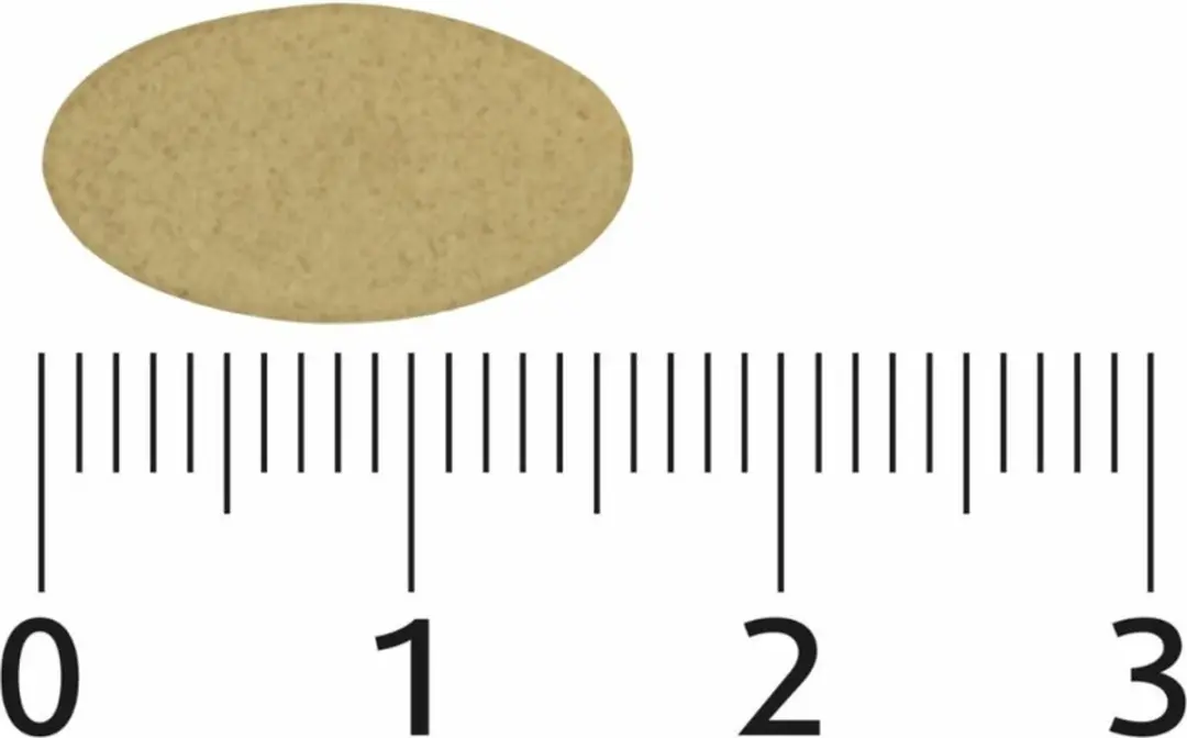 Lucovitaal Sterk IJzer Complex - 60 Tabletten