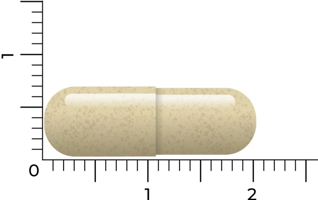 Vitakruid Saffraan & L-Theanine Affron 90 Capsules
