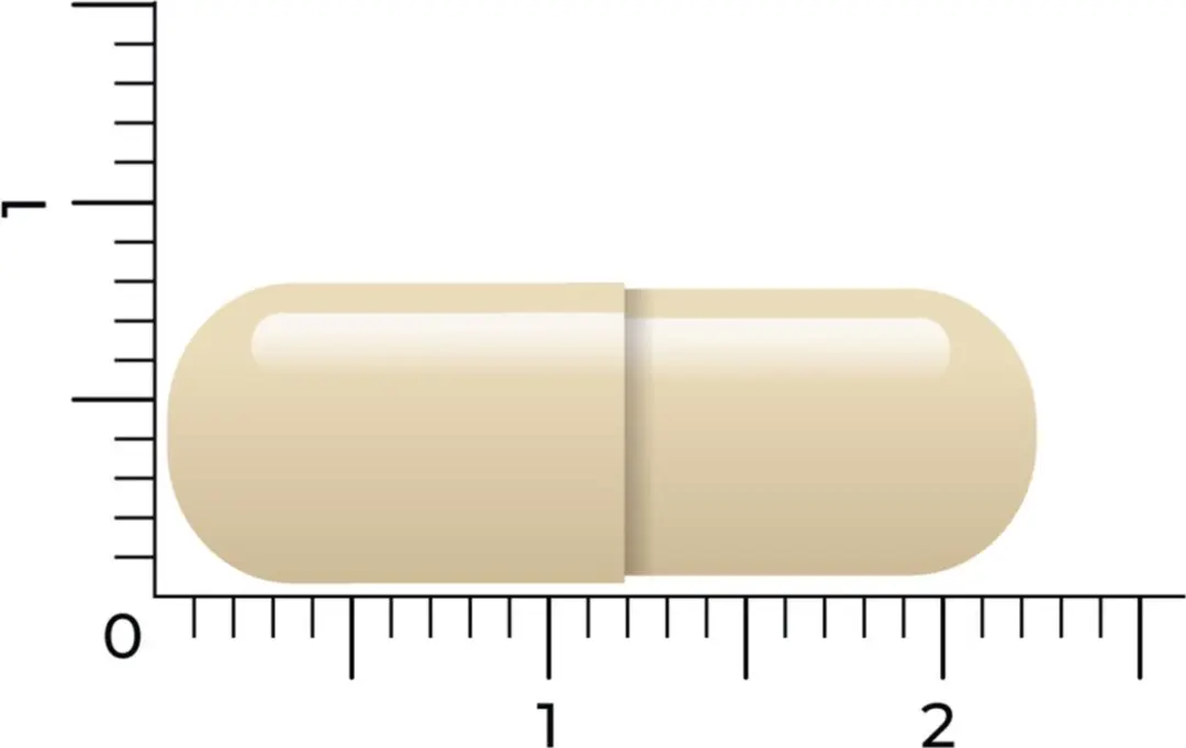 Vitakruid Geheugenformule 120g - 2x60 Vegacapsules