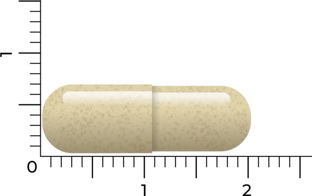 Vitakruid Saffraan & L-Theanine 30 Vegicaps