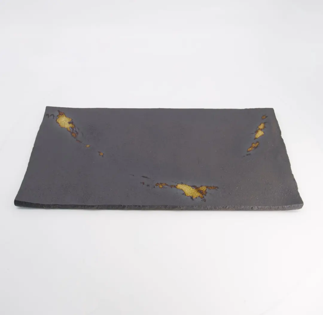 Tokyo Design Studio Mino Craft Rechthoekig Serveerbord 55x28cm