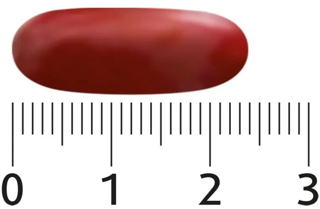 Lucovitaal Le Toxer Capsules 60 Stuks