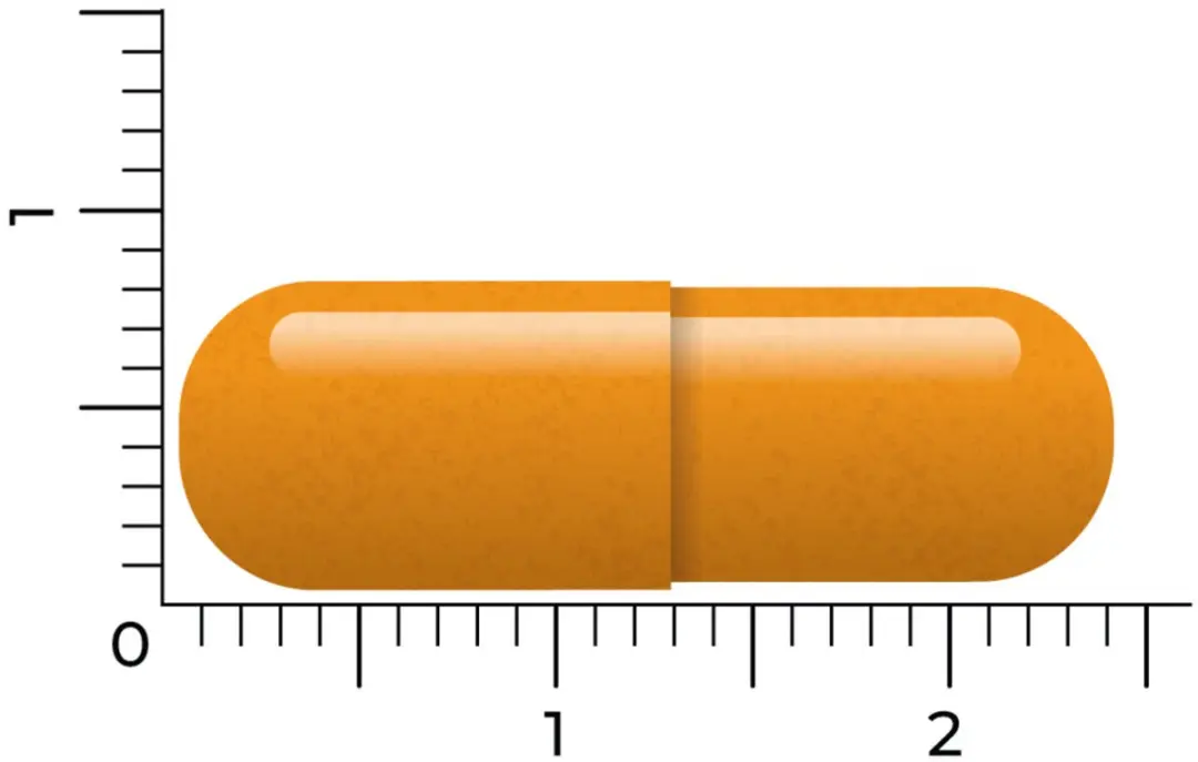 Vitakruid Groene Thee & Bioperine - 120 Vegancapsules