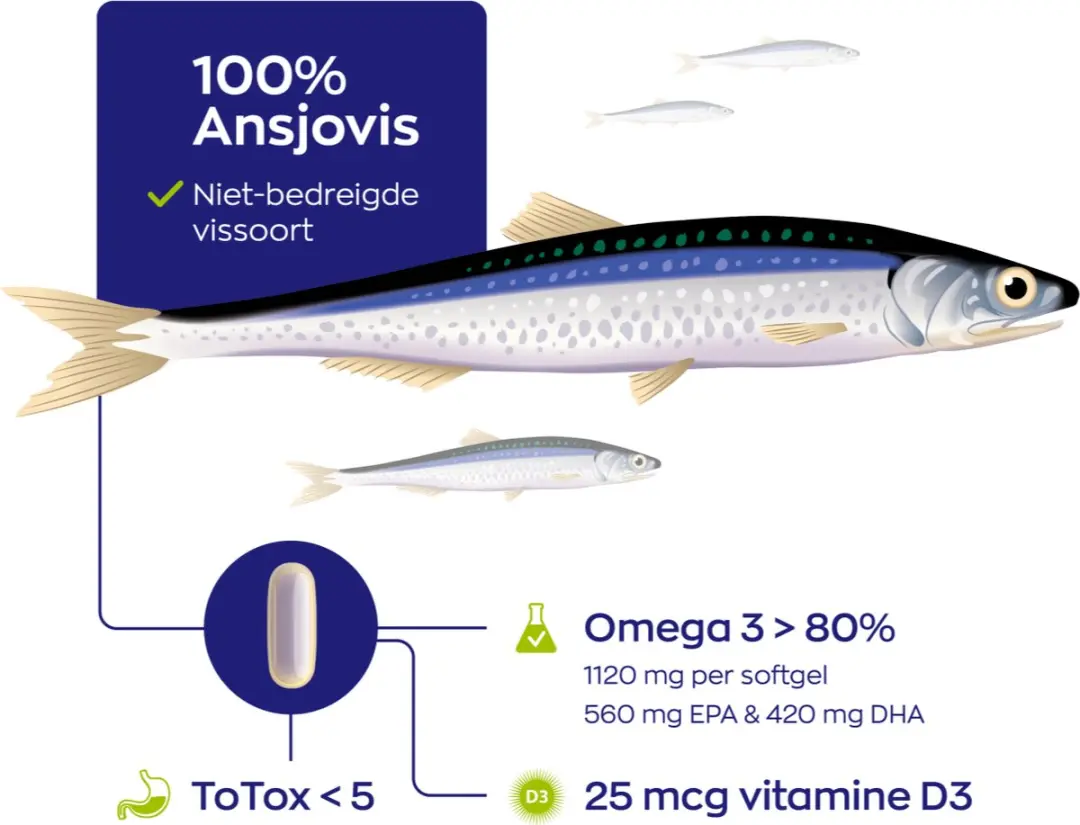 Vitakruid Visolie 1400 TG met D3 - 60 Softgels