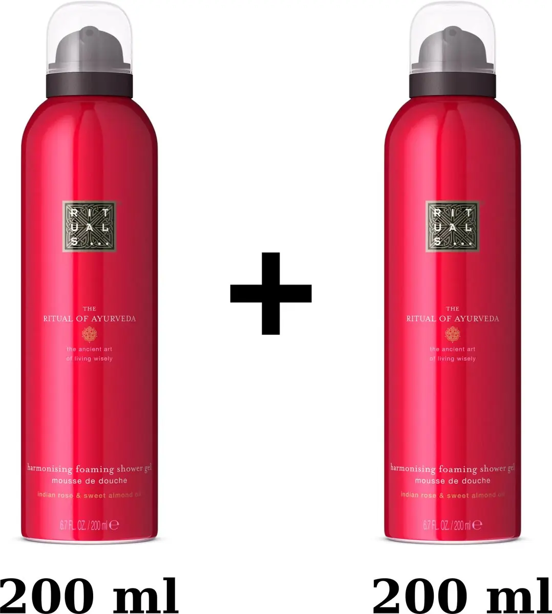 Rituals The Ritual of Ayurveda Douchegel