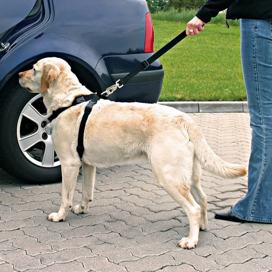 Trixie Harnas Veiligheid Auto M - 50-70cm - Zwart - afbeelding 6 van 6