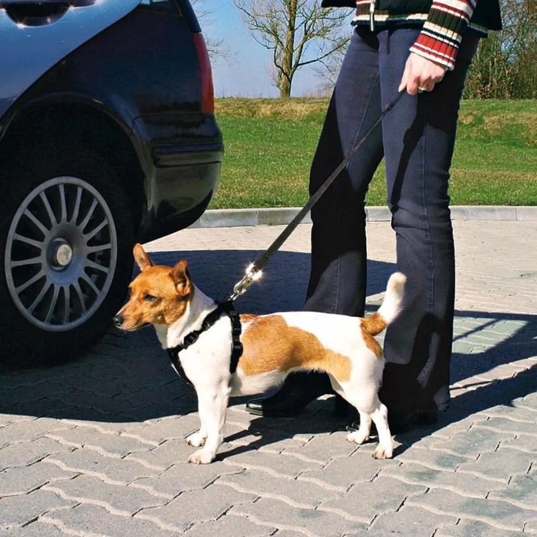 Trixie Harnas Veiligheid Auto M - 50-70cm - Zwart