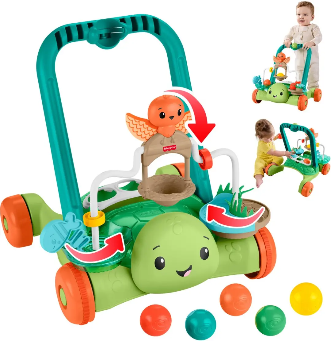 Fisher-Price Moves with You Schildpad Loopwagentje