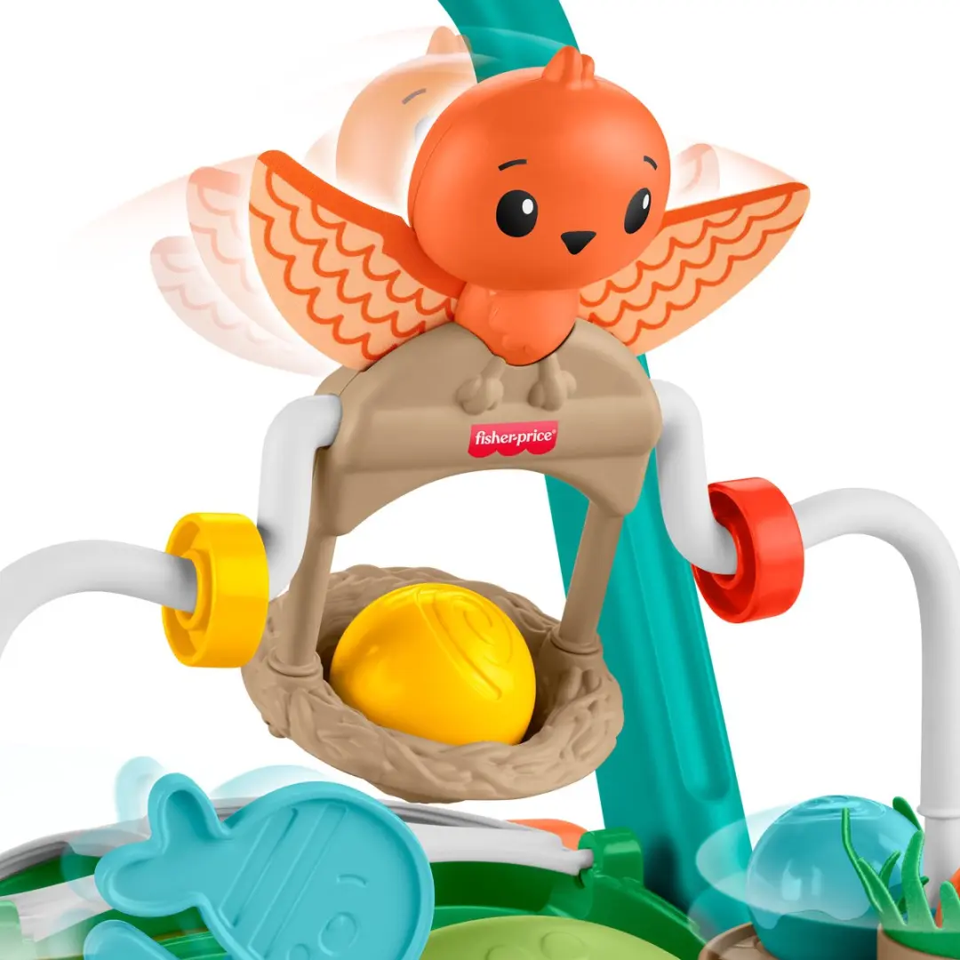 Fisher-Price Moves with You Schildpad Loopwagentje - Meerkleurig