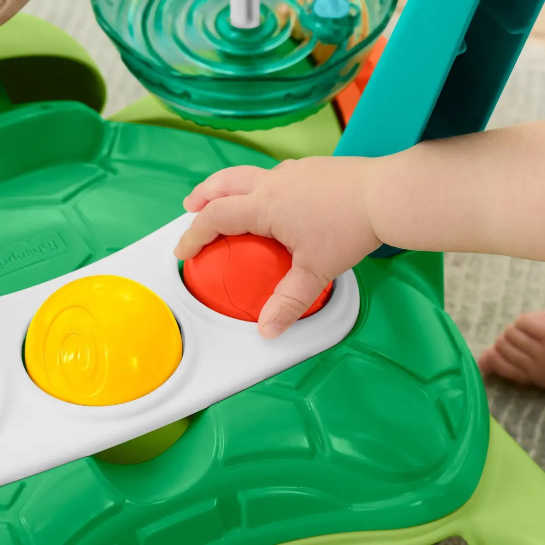 Fisher-Price Moves with You Schildpad Loopwagentje - Meerkleurig