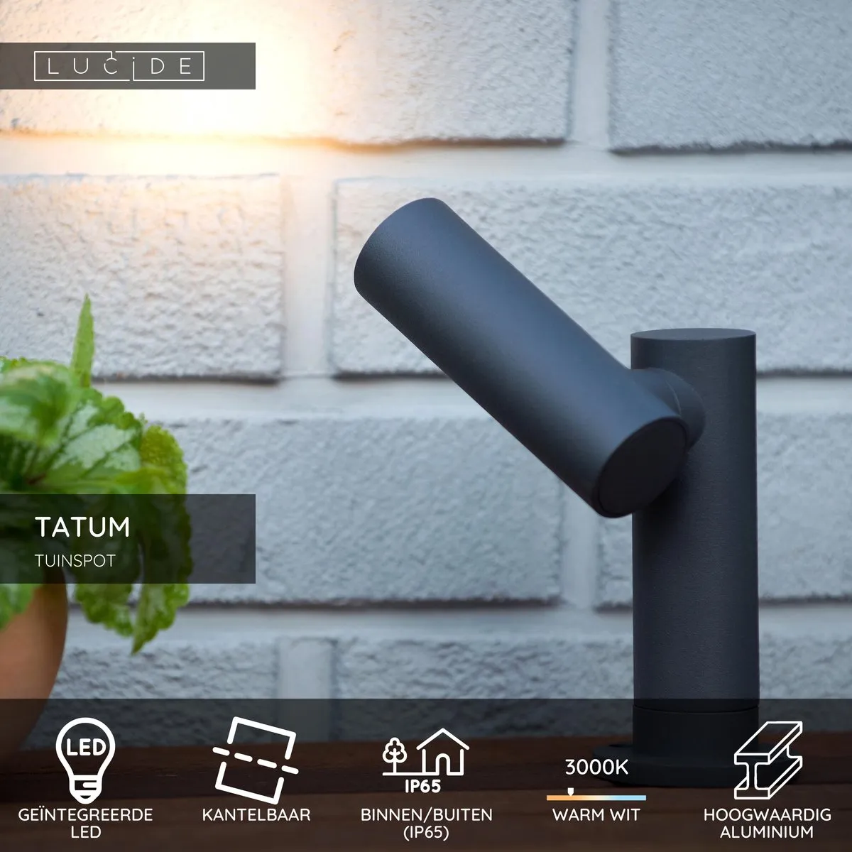 Lucide TATUM Tuinspot LED 5W 3000K - Antraciet
