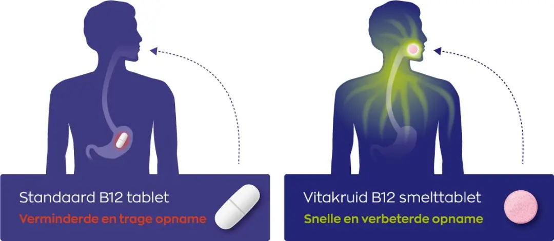 Vitakruid B12 Combi 10.000 met Folaat - 120 Tabletten