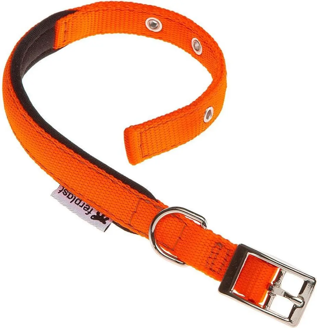 Ferplast Hondenhalsband Daytona 43 x 2cm