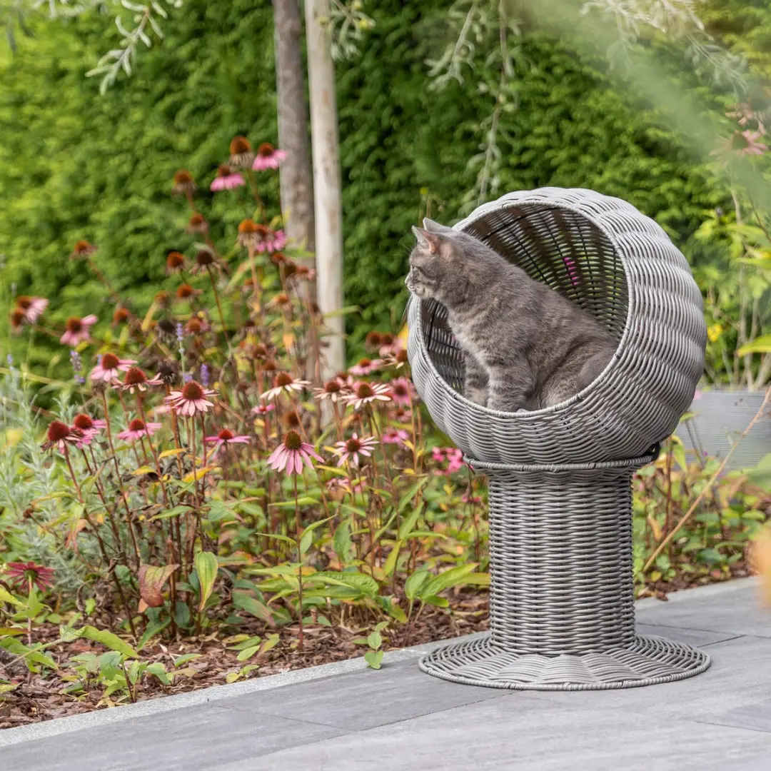 Trixie Kattenmand Amalia Rond Polyrattan - 42x42x70cm Grijs - afbeelding 6 van 6