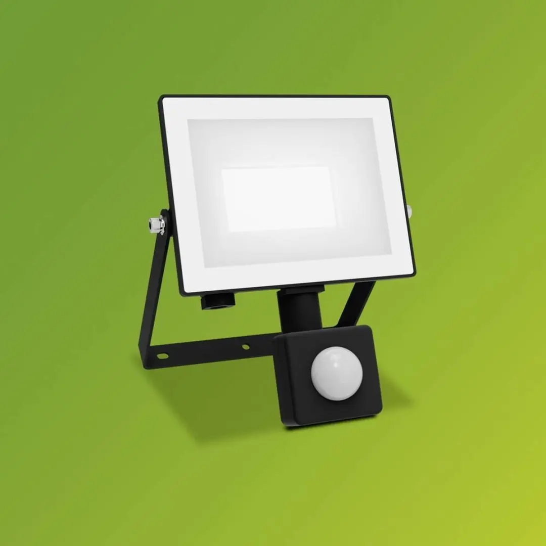 Philips Lois Floodlight 20W - Koel wit 5000K - Zwart