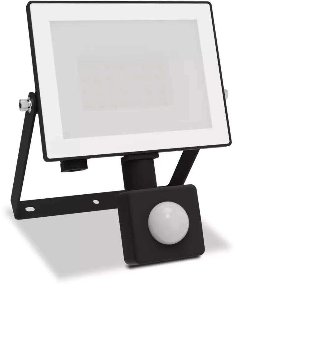 Philips Lois Floodlight 20W