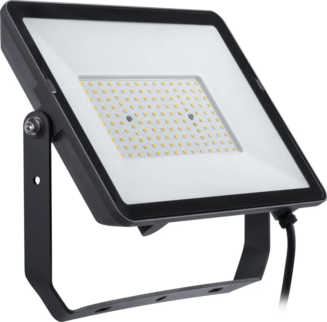 Philips ProjectLine 100W Straler 4000K - Zwart
