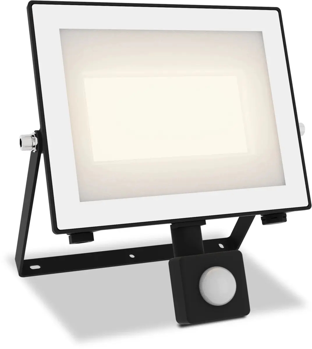 Philips Lois Floodlight 50W - Zwart - 3000K - Bewegingssensor