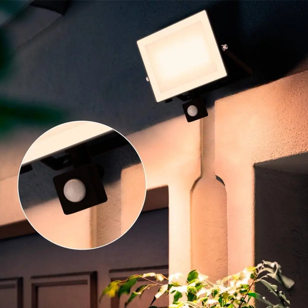 Philips Lois Floodlight 50W - Zwart - 3000K - Bewegingssensor