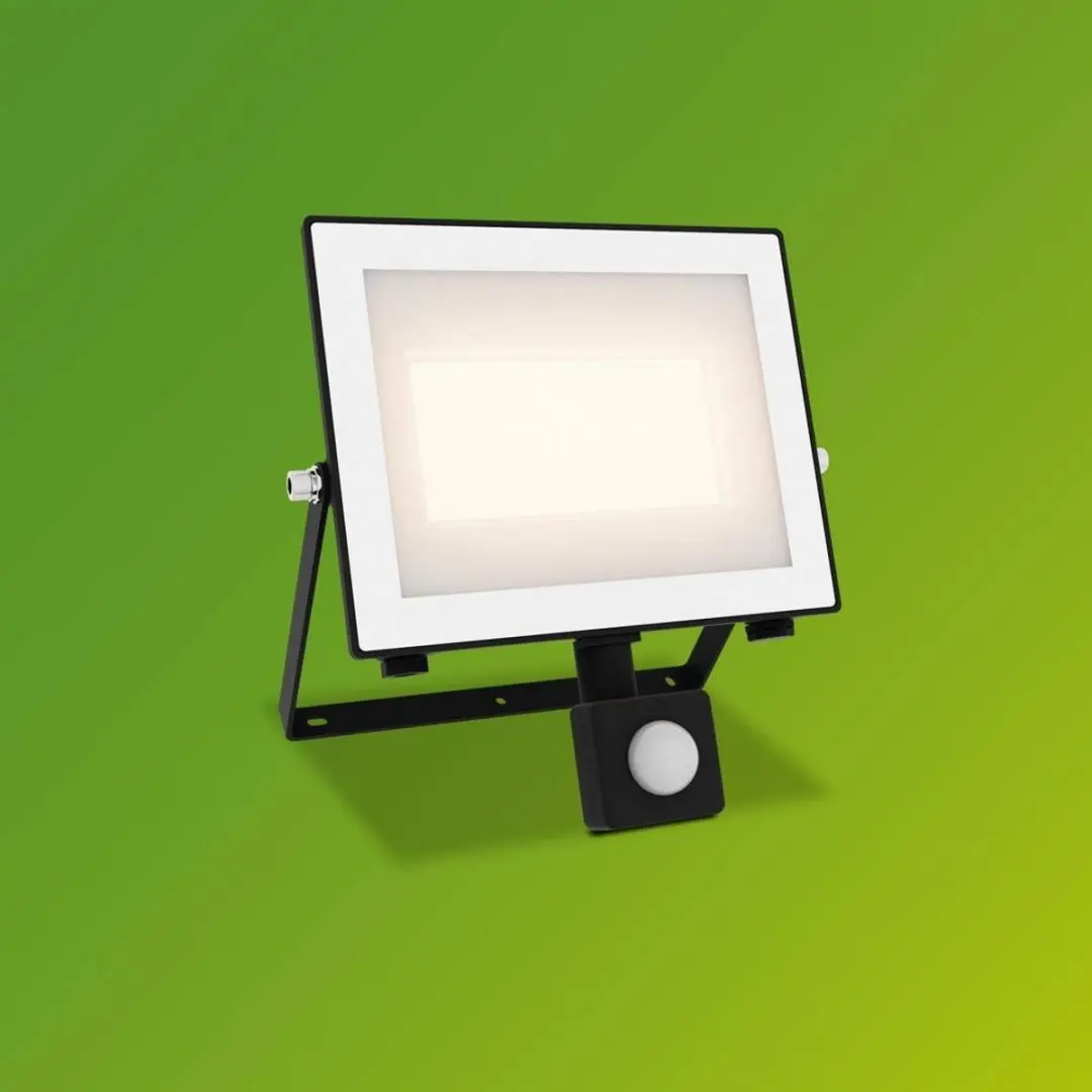 Philips Lois Floodlight 50W - Zwart - 3000K - Bewegingssensor
