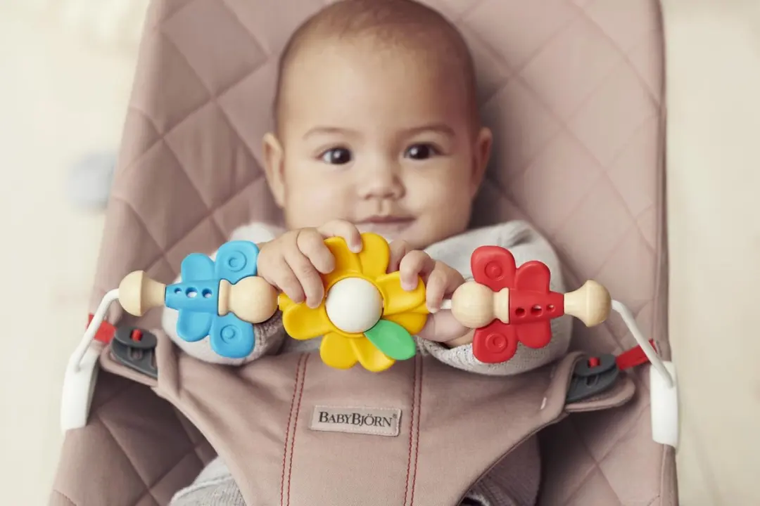 BabyBjörn Speelboog Wipstoel - Meerkleurig