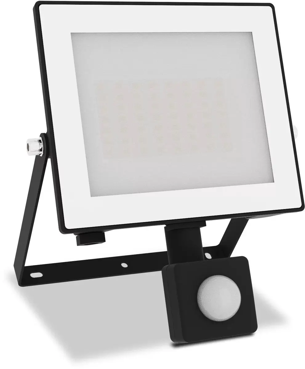 Philips Lois Floodlight 30W