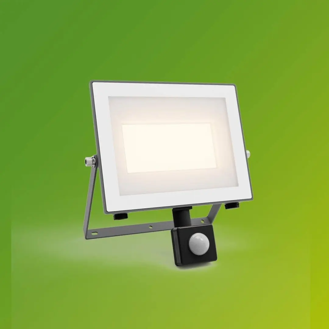 Philips Lois Floodlight 929004643401 - 24W Warm Wit 3000K - Antraciet